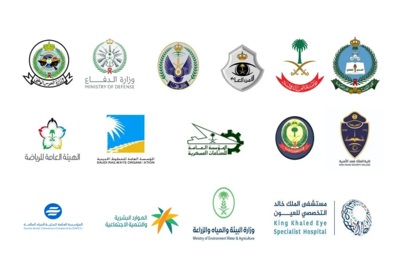 مشاريع حكومية